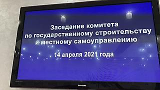 Заседание комитета по государственному строительству и местному самоуправлению