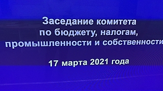 Заседание комитета Саратовской облдумы по бюджету, налогам, промышленности и собственности