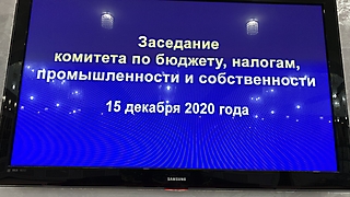Заседания комитетов в Саратовской областной Думе